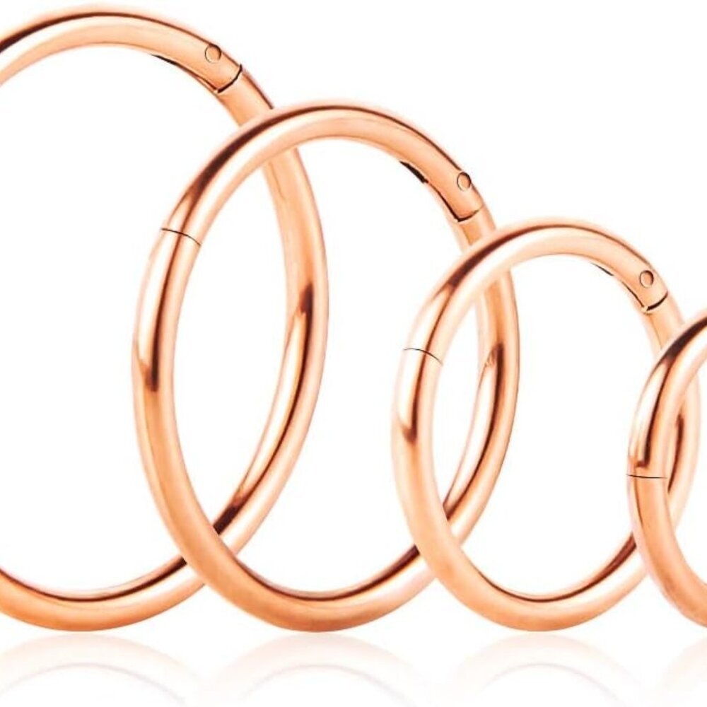 4Pcs 16G 18G 20G Surgical-Steel-Piercing-Ring-Nose-Rings-Hinged-Hoop-Earrings,6m